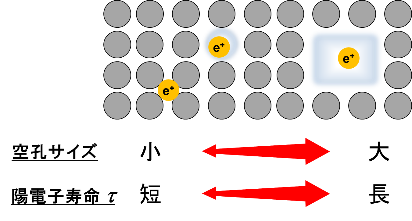 図3.陽電子の消滅サイトと寿命の相関